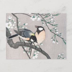 Postal Tit on Cherry Branch vintage