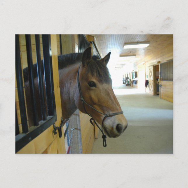 Postal Titan (Anverso)