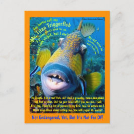 Postal Titan Triggerfish, para el niño, un humorístico -