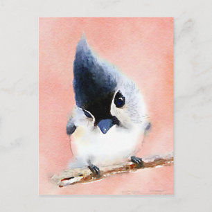 Postal Titmouse copetudo