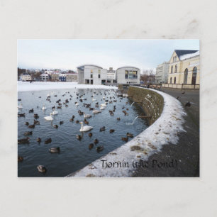 Postal Tjornin (el estanque) ~ Reykjavik, Islandia