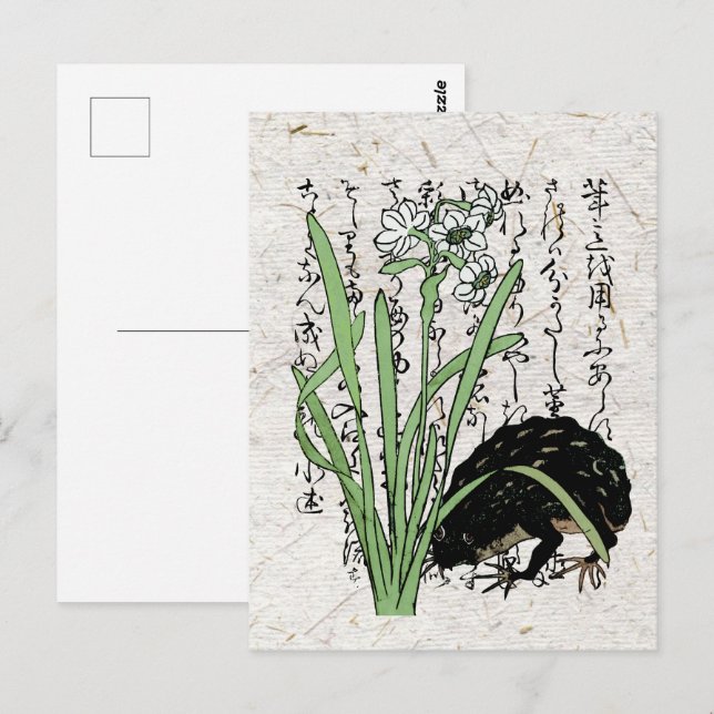 Postal Toad de rana botánica japonesa del siglo XVIII (Anverso / Reverso)