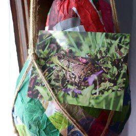 Postal Toad Love