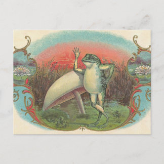 Postal Toad y hongos