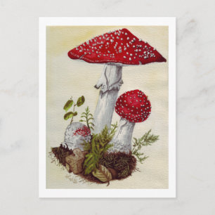 Postal Toadstool