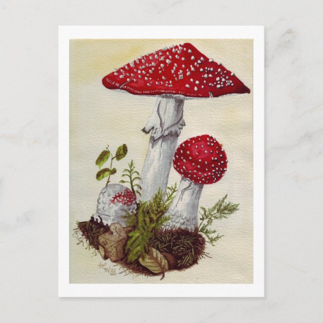 Postal Toadstool (Anverso)