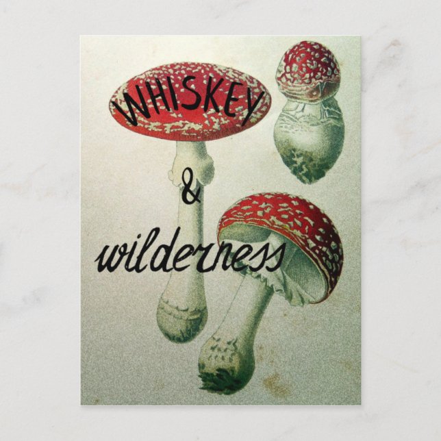 Postal Toadstool del whisky y del desierto (Anverso)