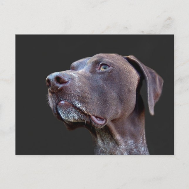 Postal Toby (Anverso)