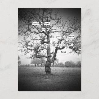 Postal Toca una hoja...