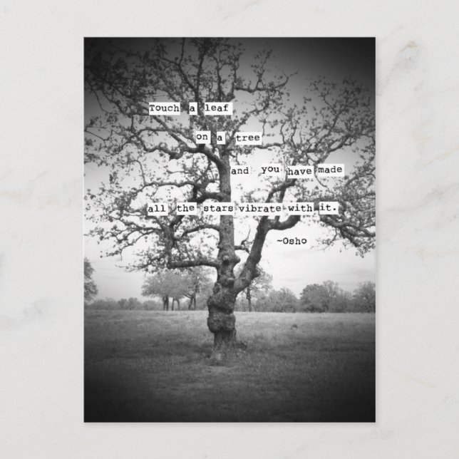 Postal Toca una hoja... (Anverso)