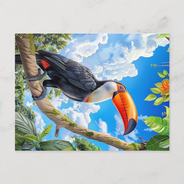 Postal Toco toucan (Anverso)