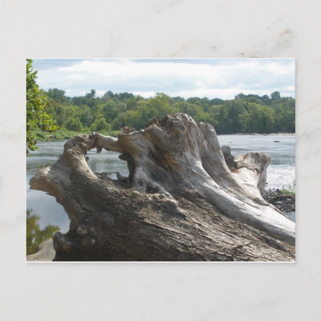 Postal Tocón en James River (Anverso)