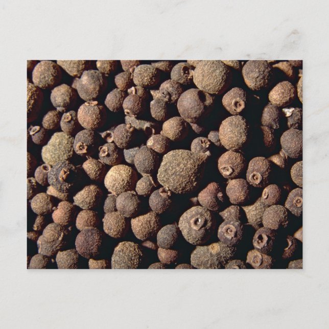 Postal Toda la especia (Anverso)