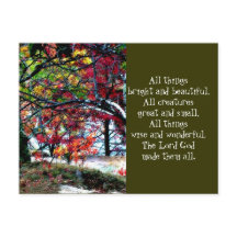 Todas las cosas brillantes y hermosas