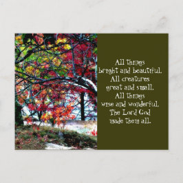 Postal Todas las cosas brillantes y hermosas