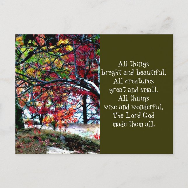 Postal Todas las cosas brillantes y hermosas (Anverso)