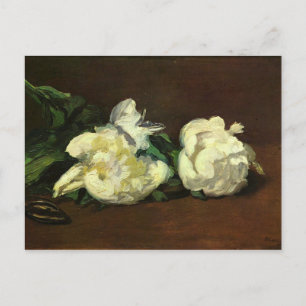 Postal Todavía la vida, White Peony, de Edouard Manet