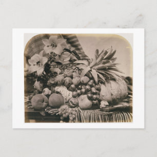 Postal Todavía vida con la fruta, 1860 (foto de la sepia)