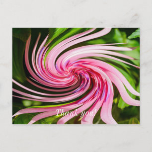 Postal Todo enrollado