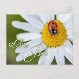 Postal Todo lo mejor con la mariquita de la suerte