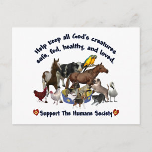 Postal Todos los dioses criaturas sociedad humana