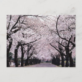 POSTAL TOKIO