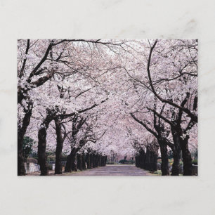 POSTAL TOKIO