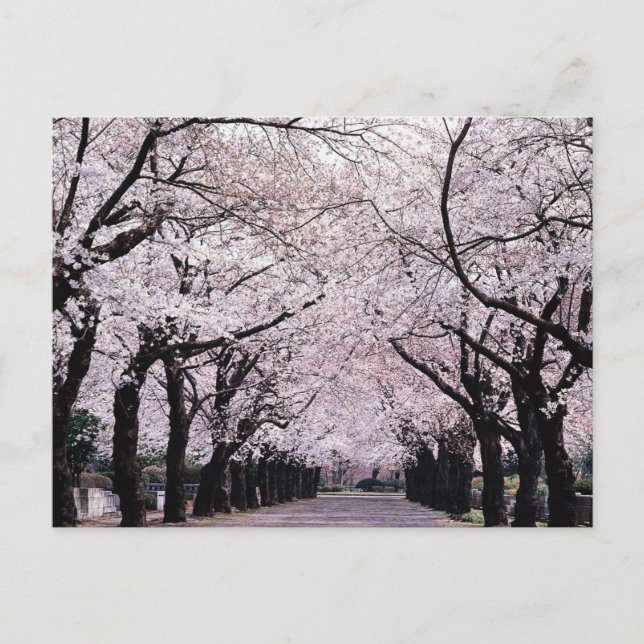 POSTAL TOKIO (Anverso)