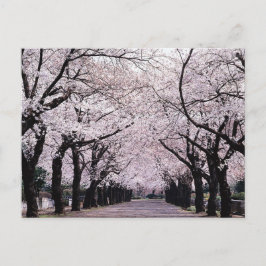 POSTAL TOKYO
