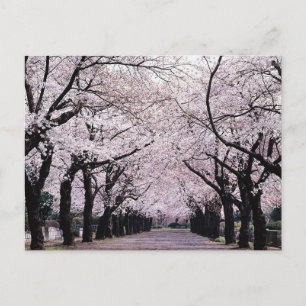 POSTAL TOKYO