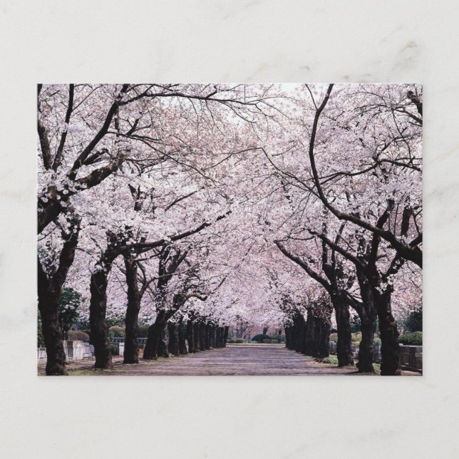 POSTAL TOKYO (Anverso)