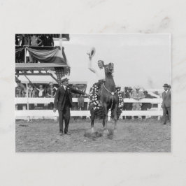 Postal Tom Mezcla olas con la multitud