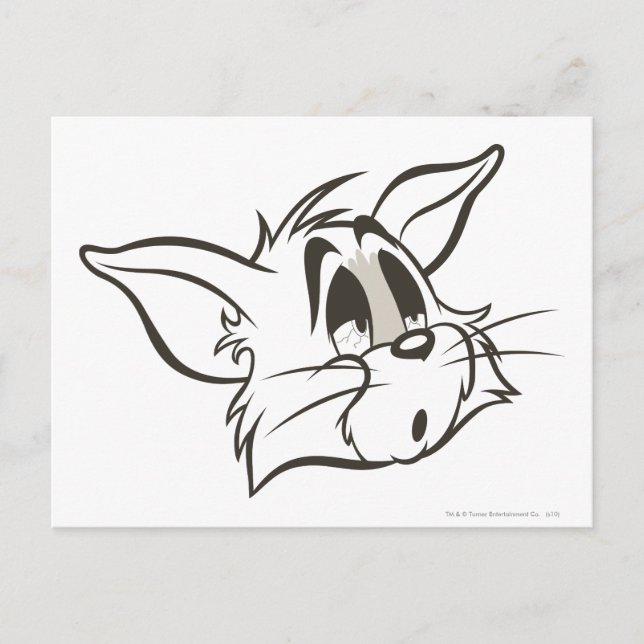 Postal Tom Sleepy Cat (Anverso)