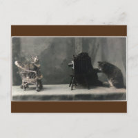 Toma de fotos de gato retro vintage
