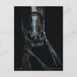 Postal Toma las riendas por Mary Gubisch