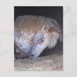 Postal Tomar con calma