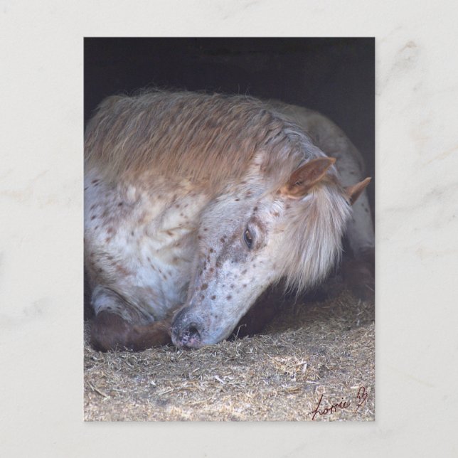 Postal Tomar con calma (Anverso)