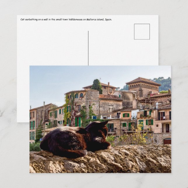 Postal Tomar el sol en una pared - Valldemossa, Mallorca (Anverso / Reverso)
