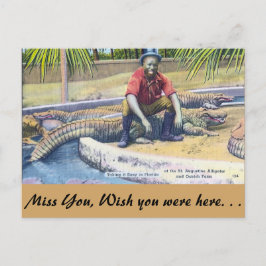 Postal Tomar las cosas con calma en Florida