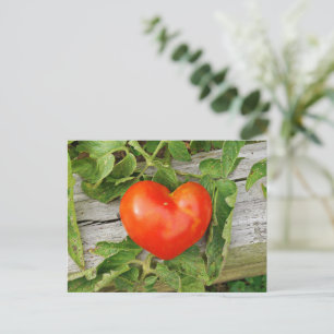 Postal Tomate en forma de corazón