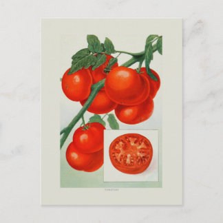 Postal Tomates
