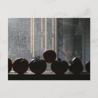 Postal Tomates en la ventana