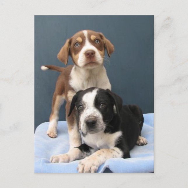 Postal Tommy y Toby (Anverso)