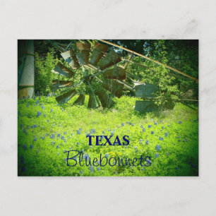 Postal Toneladas azules de Texas