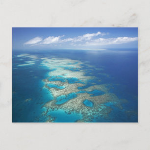 Postal Tongue Reef, Parque Marino de la Gran Barrera de C