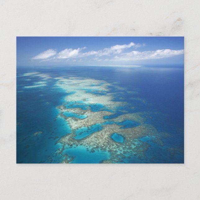 Postal Tongue Reef, Parque Marino de la Gran Barrera de C (Anverso)