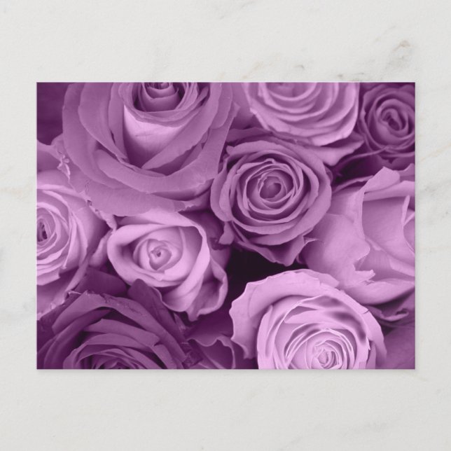 Postal Tonos de Rosas morados (Anverso)