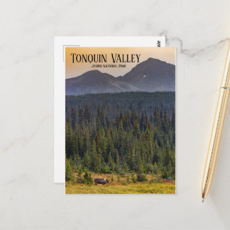 Postal Tonquin Valley, Jasper NP Caribou Postcard