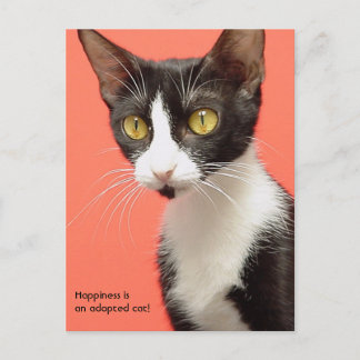 Postal Topenga - ¡La felicidad es un gato adoptado! Tarje