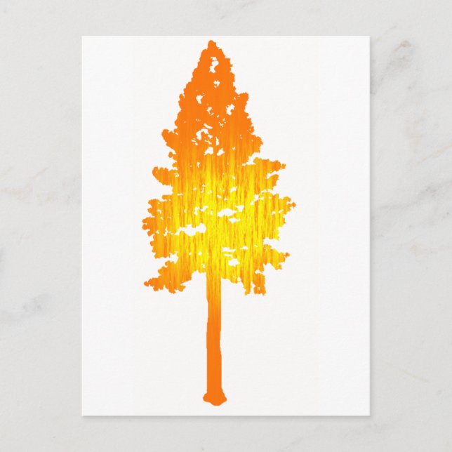 Postal Toque de sol (Anverso)